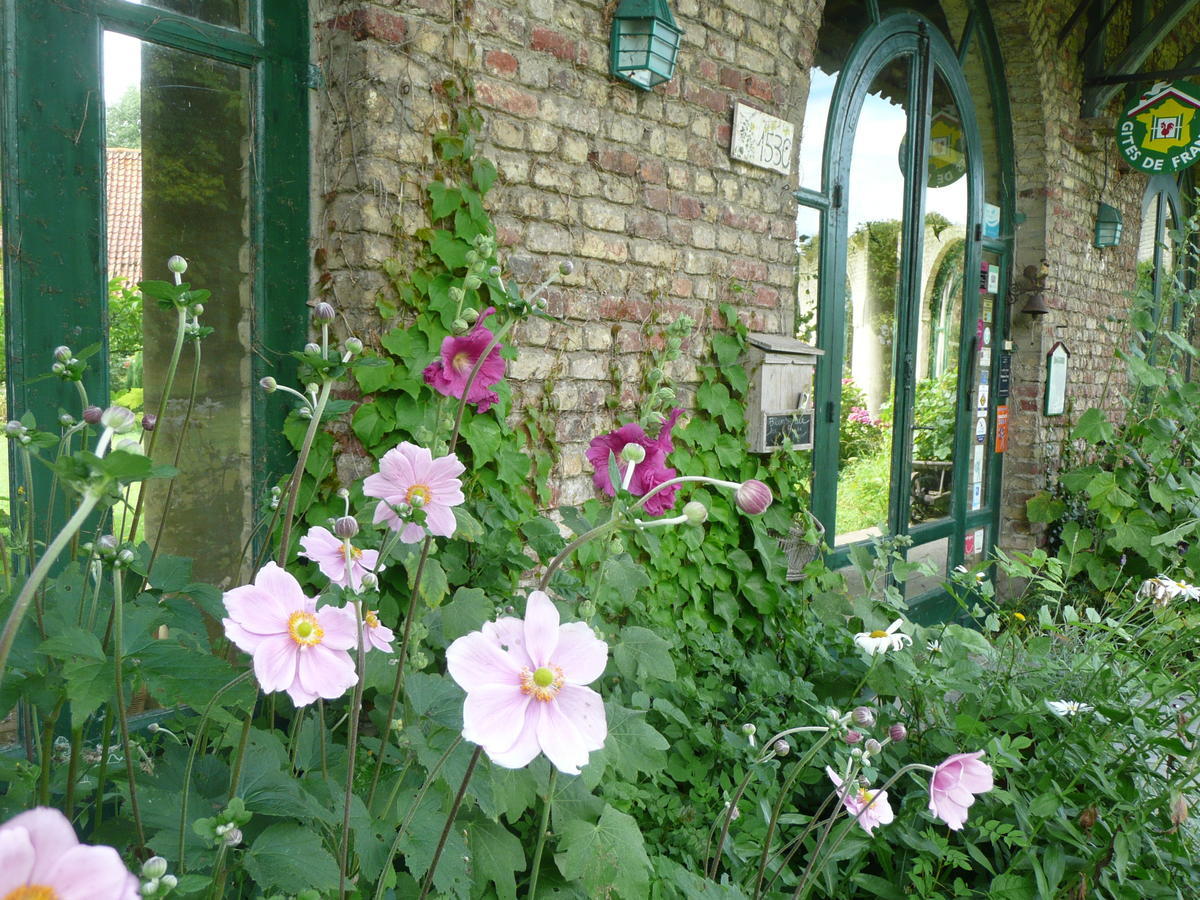 Manoir De Bois En Ardres Bed & Breakfast Exterior photo
